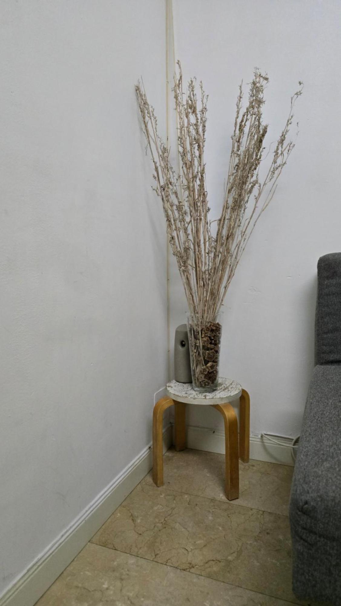 Mini Apartamento Lovely Chueca Madrid Exteriör bild